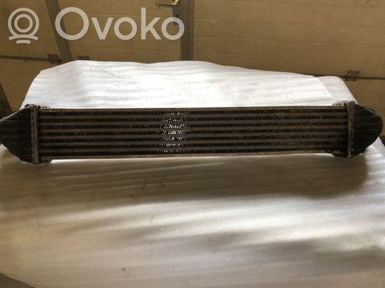 Mercedes-Benz B W245 Intercooler radiator A1695000900 A1695000900 W4300001