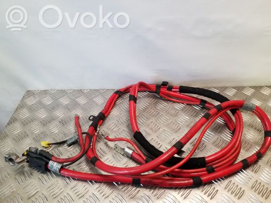 BMW 3 E46 Positive wiring loom 6907435