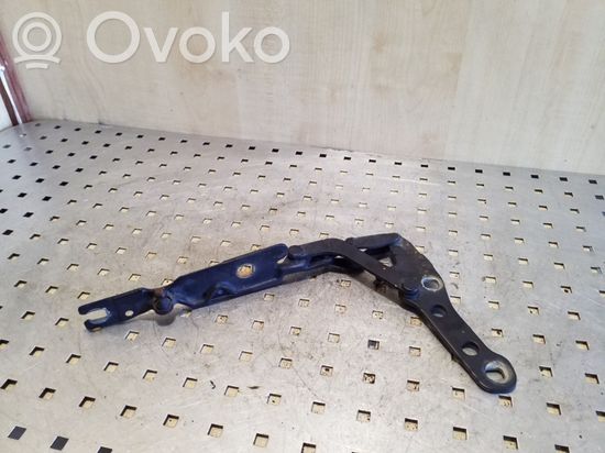 BMW 3 E46 Engine bonnet/hood hinges 41618200124