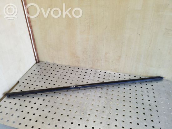 BMW 3 E92 E93 Front door glass trim molding 7119079