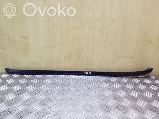 BMW X5 E70 Windshield trim