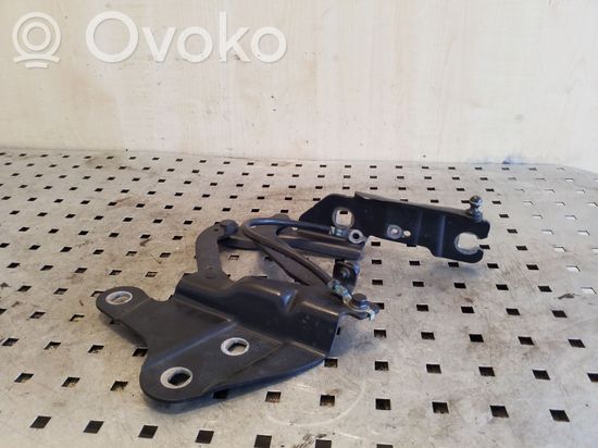 BMW X1 E84 Engine bonnet/hood hinges 2990359