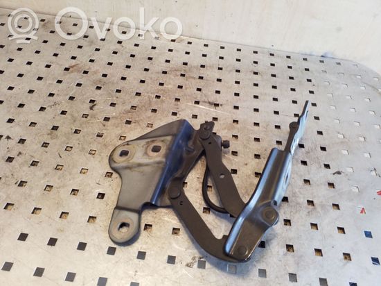 BMW X1 E84 Engine bonnet/hood hinges 2990359