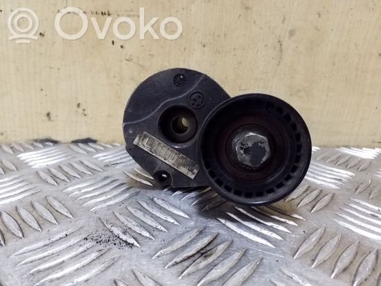 BMW X3 E83 Generator/alternator belt tensioner 7800333