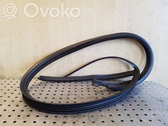 BMW X5 E53 Rubber seal front door (on door)