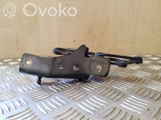 BMW X6 E71 E72 Engine bonnet/hood hinges 7148348