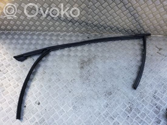 BMW X3 E83 Rubber seal front door (on door)