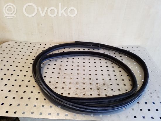 BMW 5 E60 E61 Rear door rubber seal (on body)