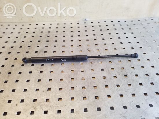 BMW 3 E90 E91 Front bonnet/hood damper/strut 51237060550