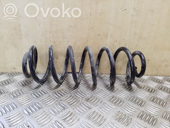 Volkswagen Tiguan Rear coil spring