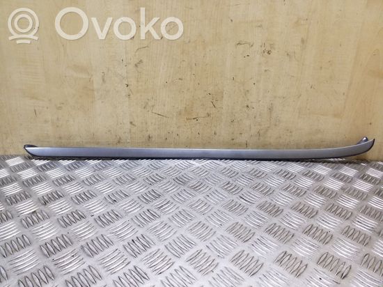 BMW X5 E70 Windshield trim