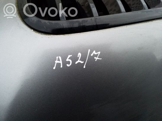 BMW X5 E70 Engine bonnet/hood