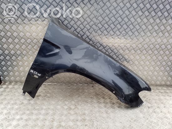 BMW X5 E53 Fender