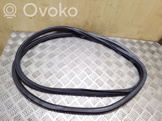 Audi Q5 SQ5 Front door rubber seal 8R0831721D