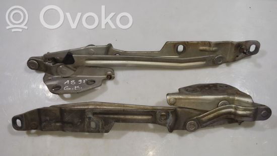 Audi A8 S8 D2 4D Tailgate/trunk/boot hinge