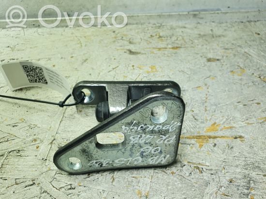 Mercedes-Benz CLS C219 Front door lower hinge