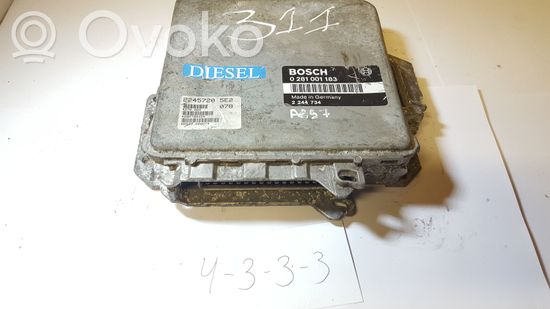 BMW 5 E39 Engine control unit/module 0281001183 2244734