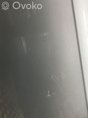 Audi A6 S6 C6 4F Front door