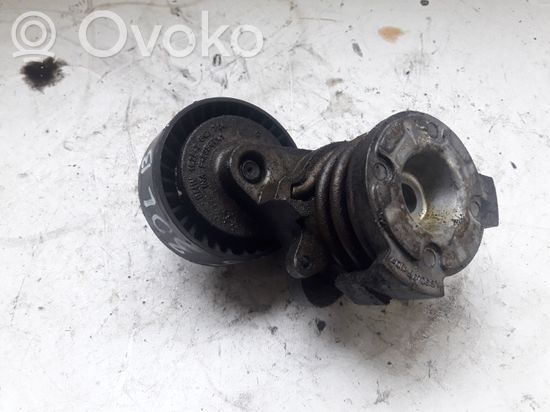 BMW X5 E53 Generator/alternator belt tensioner