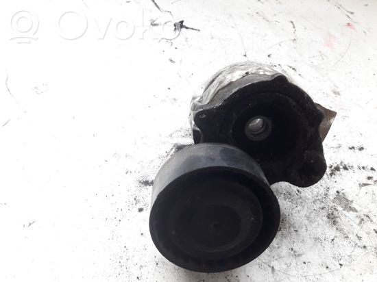 BMW 3 E92 E93 Generator/alternator belt tensioner
