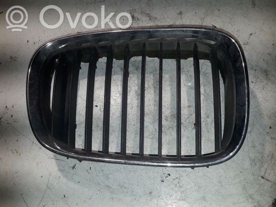 BMW 5 E39 Front bumper upper radiator grill