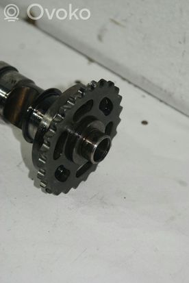 Audi A8 S8 D3 4E Camshaft 057109101AR