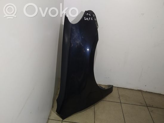 Volkswagen Golf VI Fender