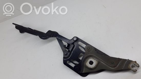 BMW X6 E71 E72 Engine bonnet/hood hinges 7148347 714834710