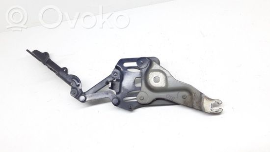 BMW X6 E71 E72 Engine bonnet/hood hinges 7148348 714834811