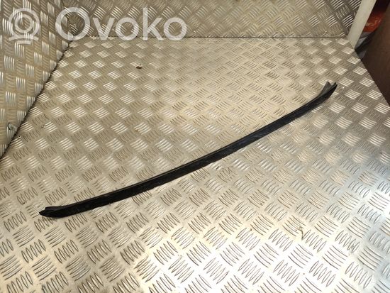 BMW X5 E70 Windshield trim