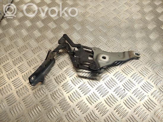 BMW X5 E70 Engine bonnet/hood hinges 7148347