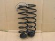 Rear coil spring