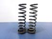 Rear coil spring