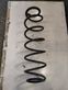 Rear coil spring