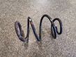 Front coil spring