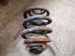 Rear coil spring