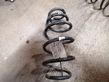 Front coil spring