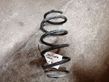 Front coil spring