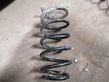 Front coil spring