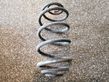 Rear coil spring