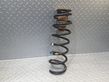 Rear coil spring