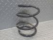 Front coil spring