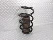 Front coil spring