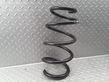 Front coil spring