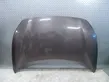 Engine bonnet/hood