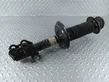 Front shock absorber/damper