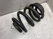 Rear coil spring