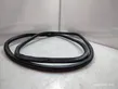 Rear door rubber seal (on body)