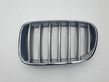 Front bumper upper radiator grill