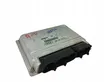 Engine control unit/module ECU